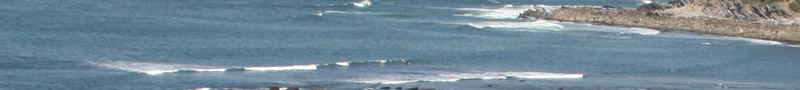 atlantic surf
